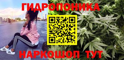 эйфоретик Бердск