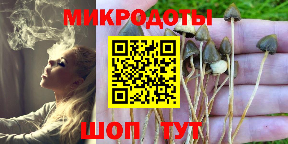 Галлюциногенные грибы Psilocybine cubensis  Псилоцибиновые грибы Psilocybe  Вход с VPN  Богородицк 